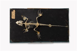 Image description is not available for 2011.5.1